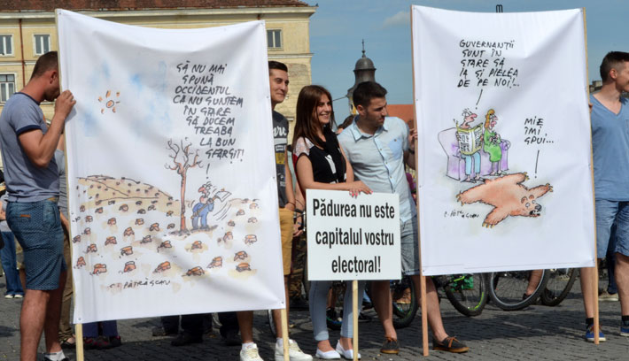 Tüntetés az erdőkért Kolozsváron