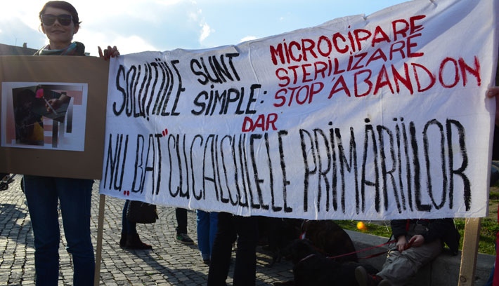 Kutyás tüntetés Kolozsváron