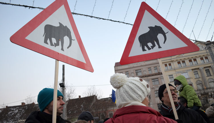 Tüntetés elefántokkal Kolozsváron